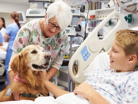 una mascota Ayuda a la rehabilitación de enfermedades