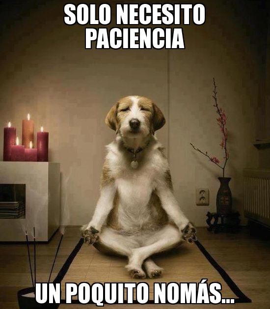 paciencia