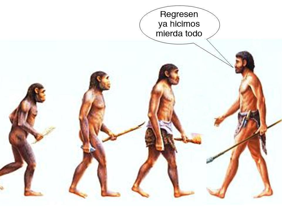 involución del ser humano