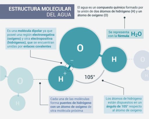 tomar agua