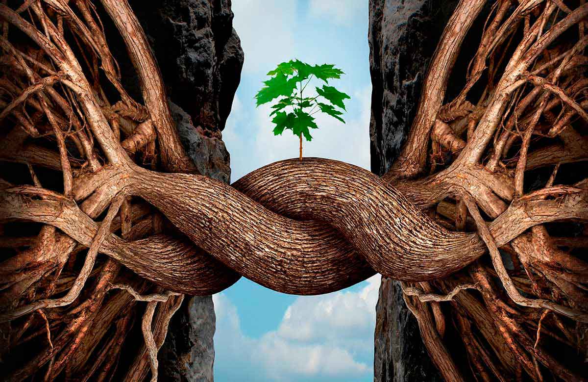 resiliencia