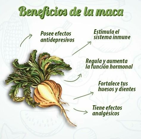 maca