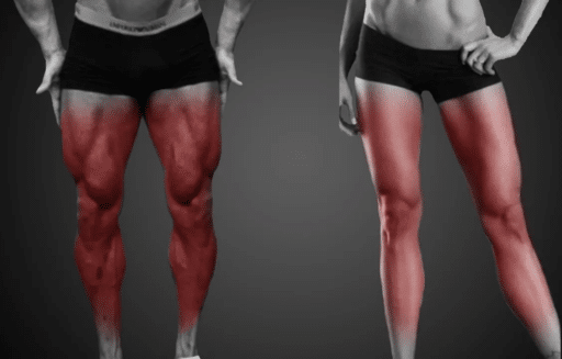 crecimiento muscular en las piernas