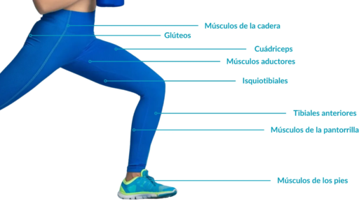 activación muscular 