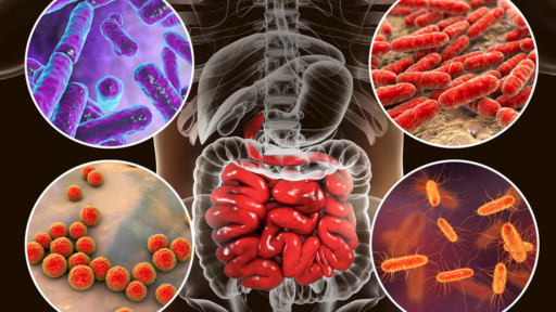 microbioma intestinal