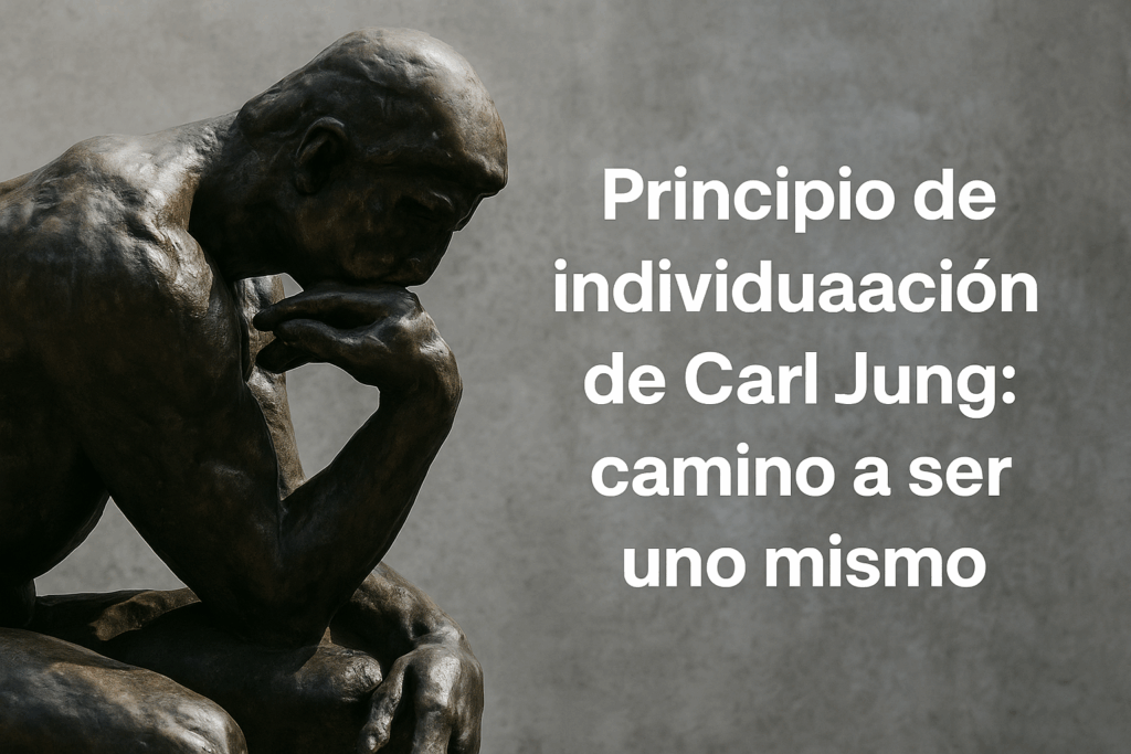 principio de individuación