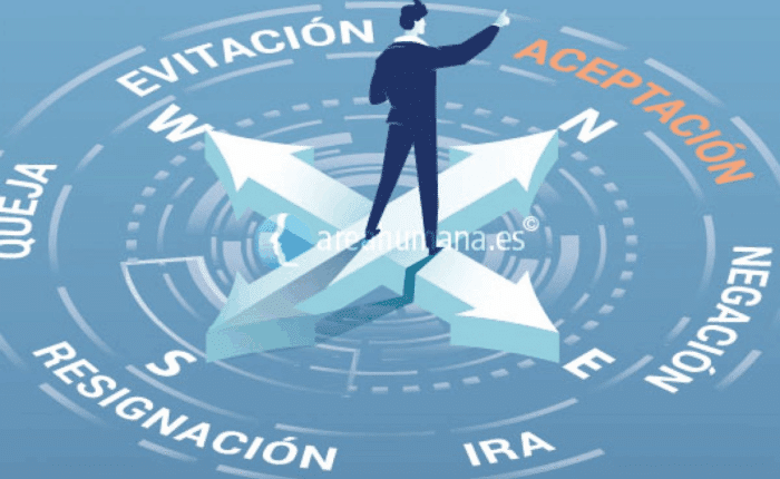 aceptar la realidad
