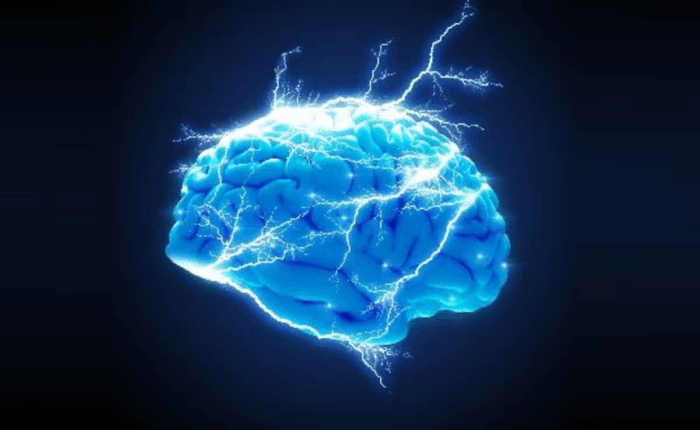 conciencia no está en el cerebro