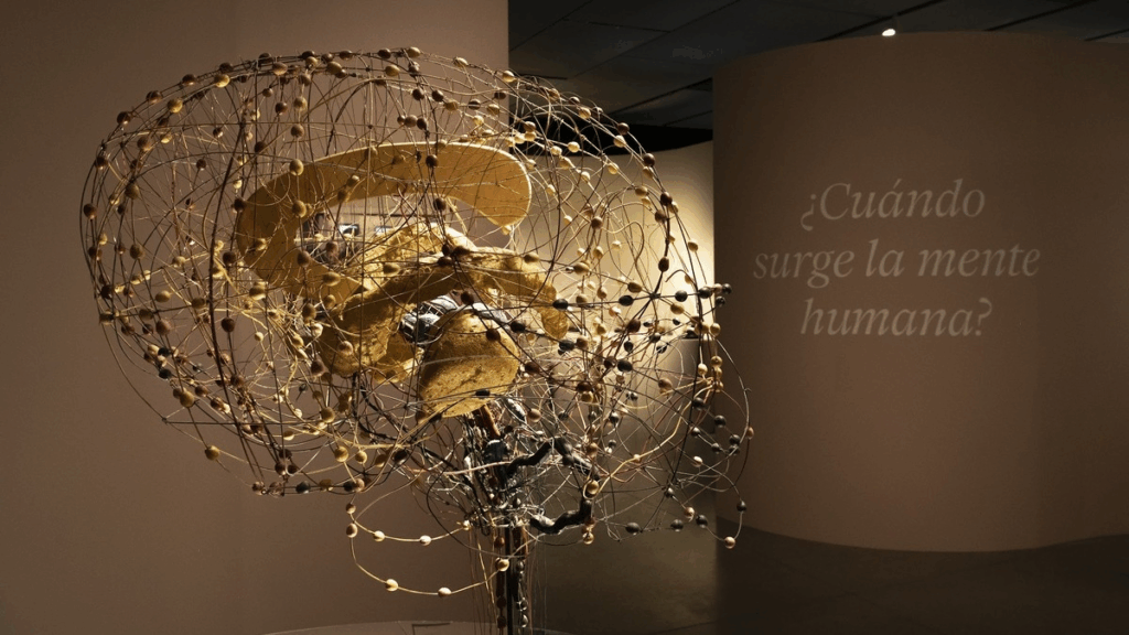 leyes que influyen en nuestra existencia