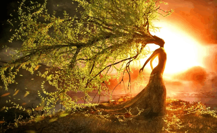 reconocer la feminidad