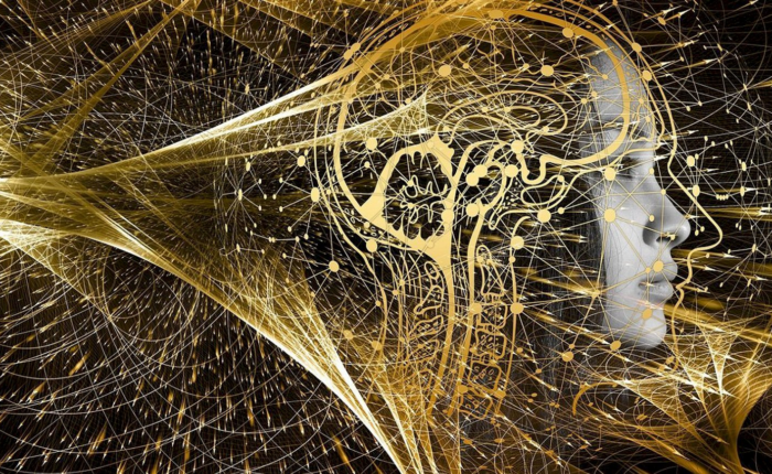 conciencia y realidad