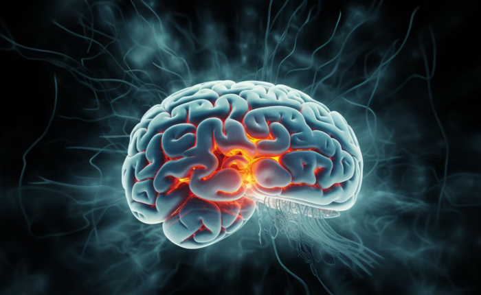 el cerebro no busca la felicidad