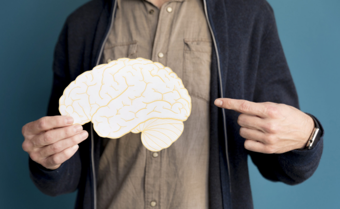 viejo y nuevo cerebro