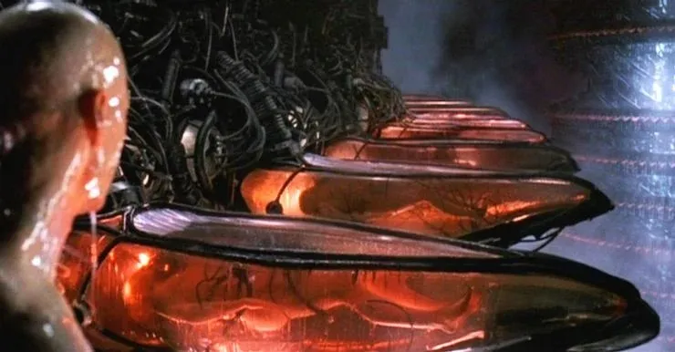 metáfora de La Matrix