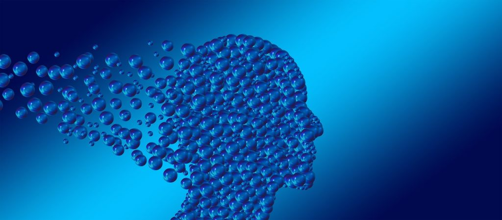 cómo el cerebro construye el yo