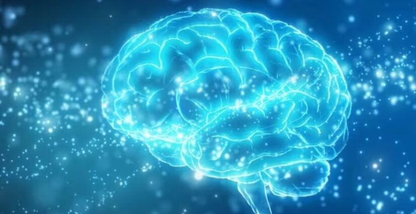 la mente no es verdadera