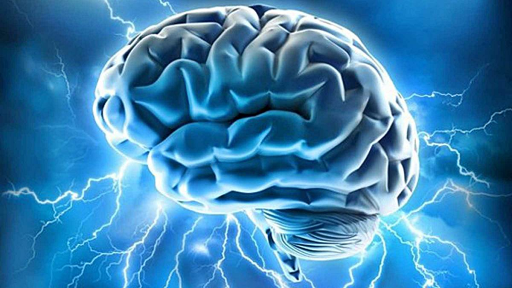 pensamiento circular