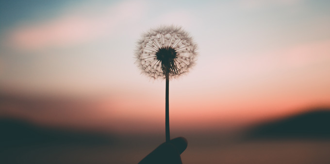 identificación del ego