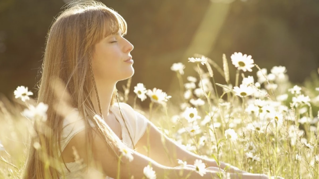 identificación del ego