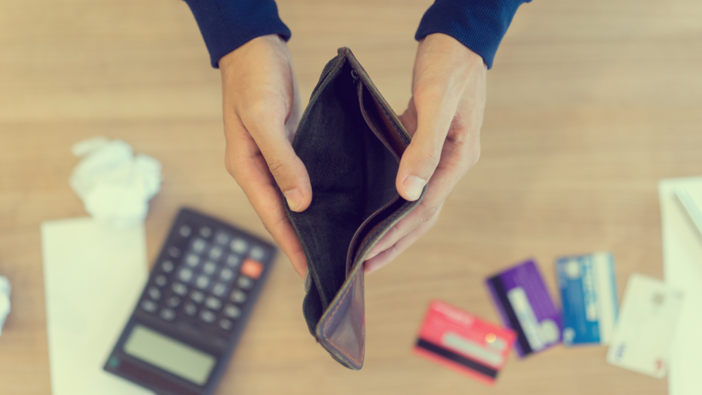 autosuficiencia económica